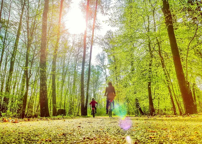 Tatil Evi Bungis - 28 Ferienhaeuser Am Grimnitzsee G8